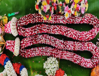 Fresh floral arrangements for vibrant and fragrant décor.